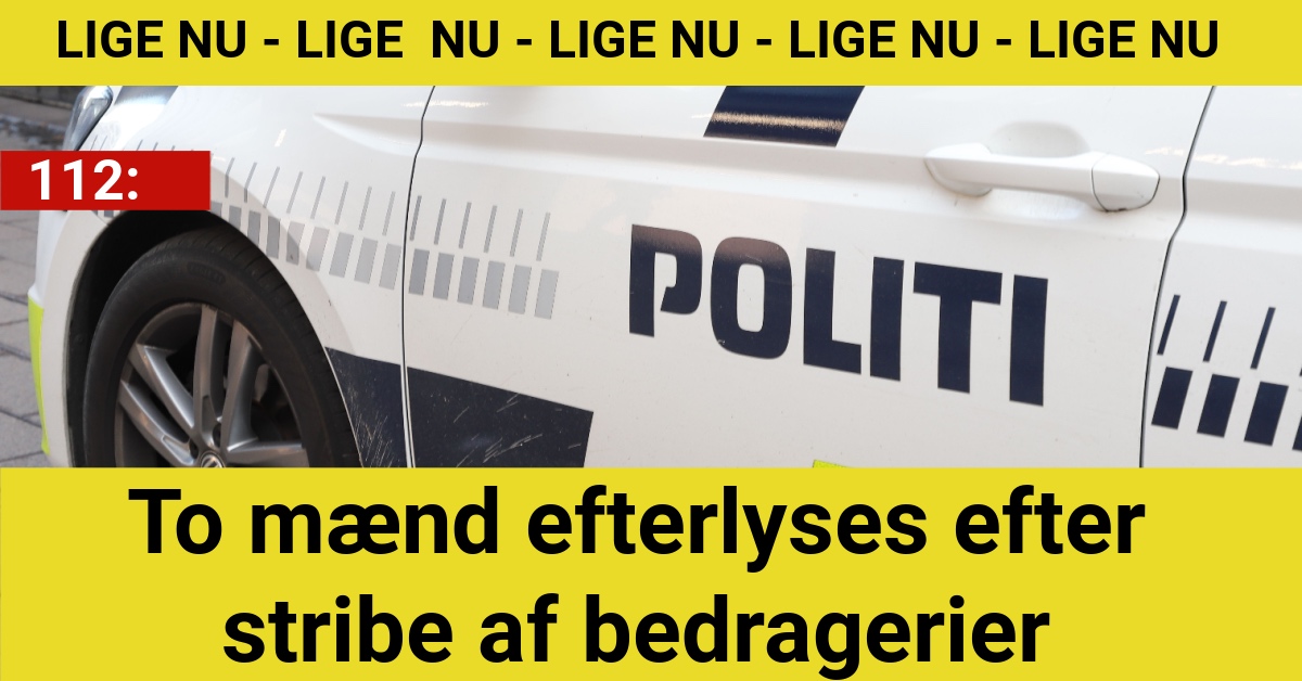 To mænd efterlyses efter stribe af bedragerier