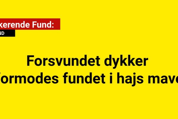 Chokerende Fund: Forsvundet dykker formodes fundet i hajs mave