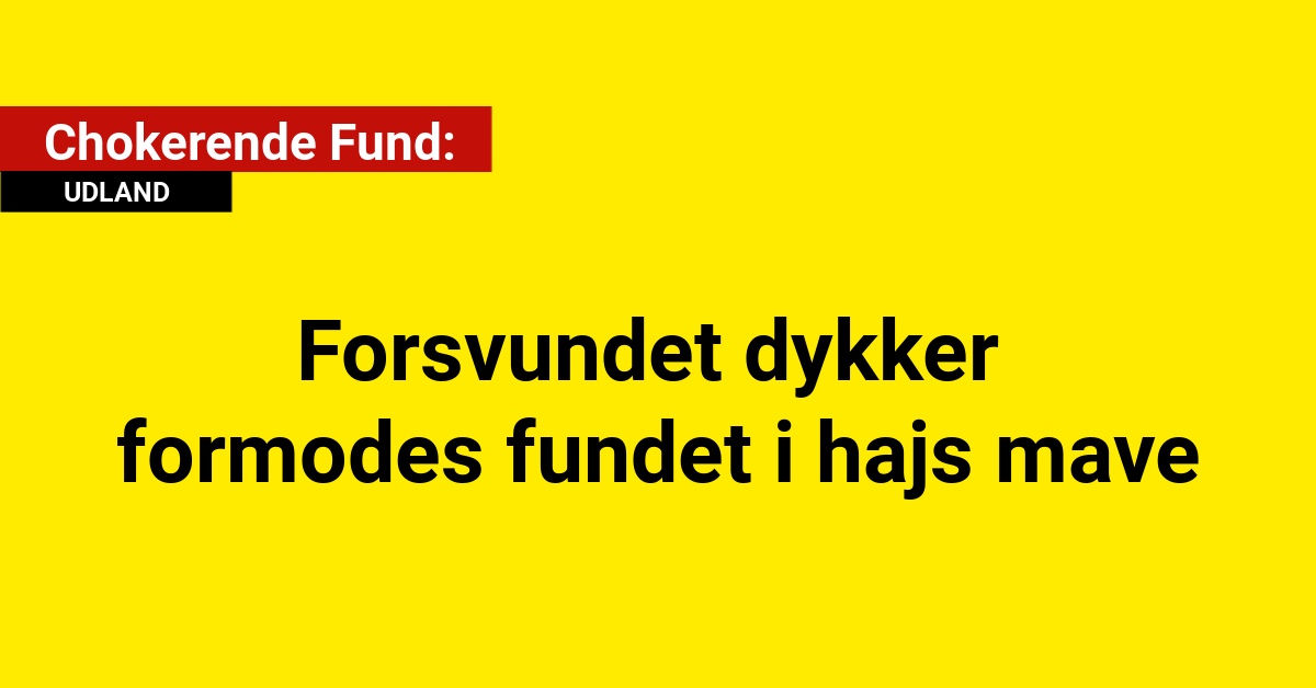 Chokerende Fund: Forsvundet dykker formodes fundet i hajs mave