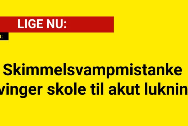 Skimmelsvampmistanke tvinger skole til akut lukning