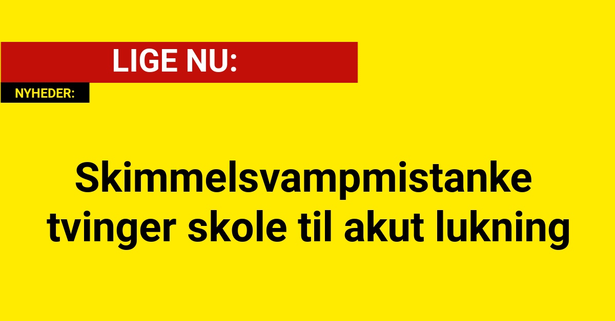 Skimmelsvampmistanke tvinger skole til akut lukning