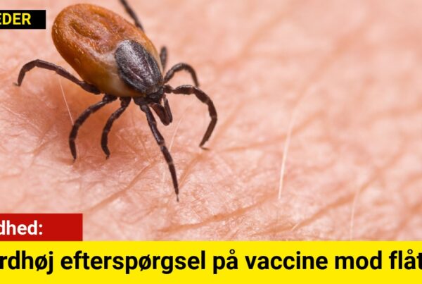 Rekordhøj efterspørgsel på vaccine mod flåtvirus