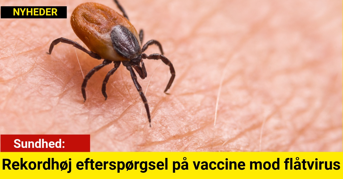 Rekordhøj efterspørgsel på vaccine mod flåtvirus