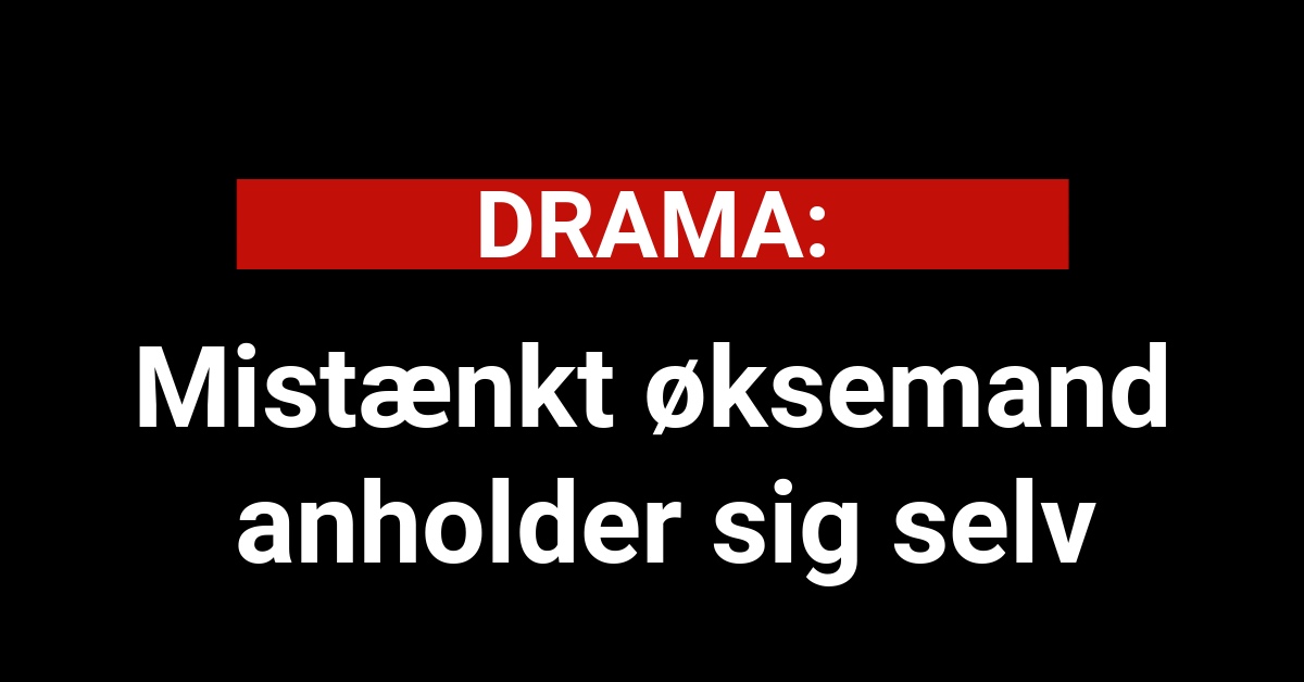 Mistænkt øksemand anholder sig selv