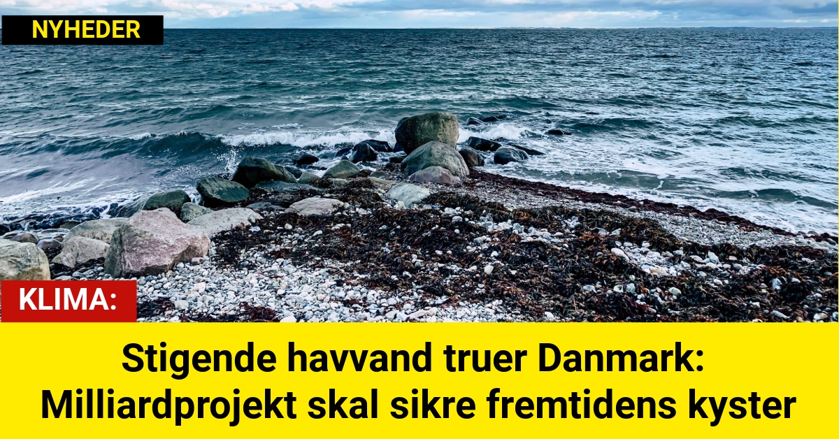 Stigende havvand truer Danmark: Milliardprojekt skal sikre fremtidens kyster