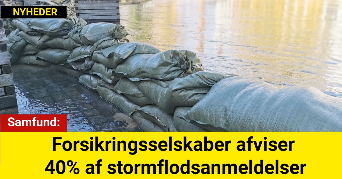 Forsikringsselskaber afviser 40% af stormflodsanmeldelser