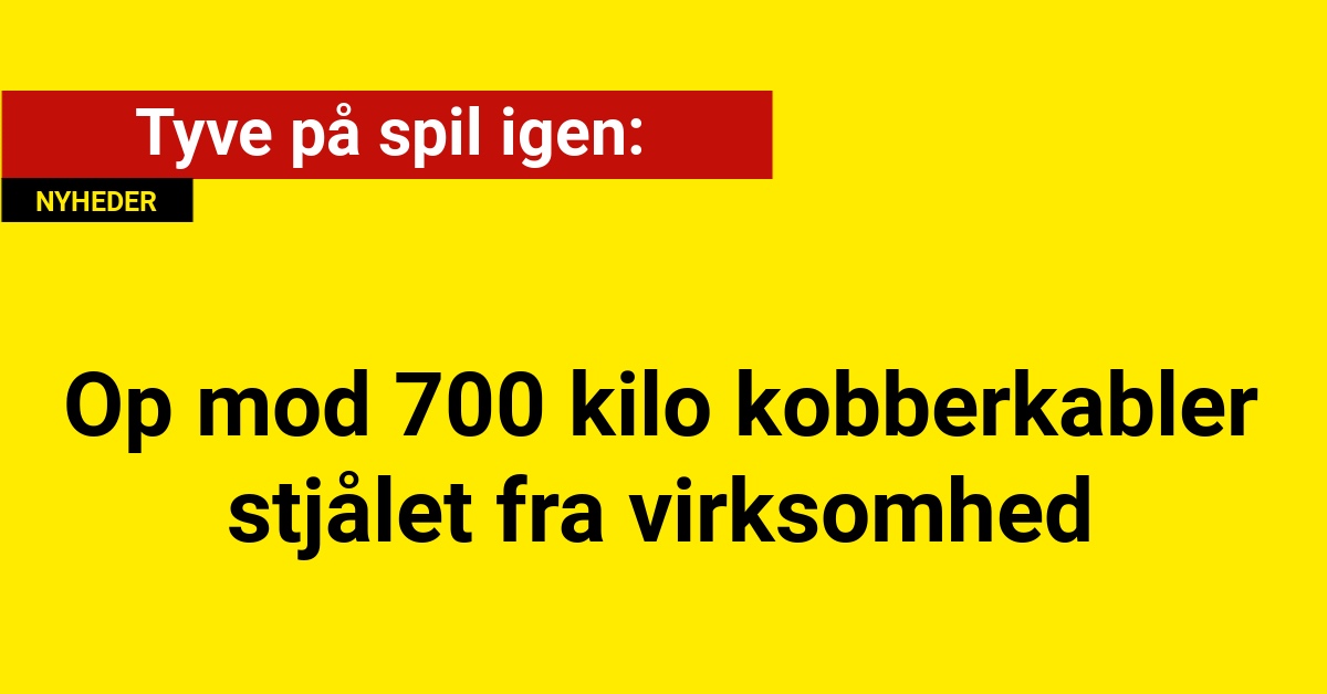 Tyve på spil igen: Op mod 700 kilo kobberkabler stjålet fra virksomhed