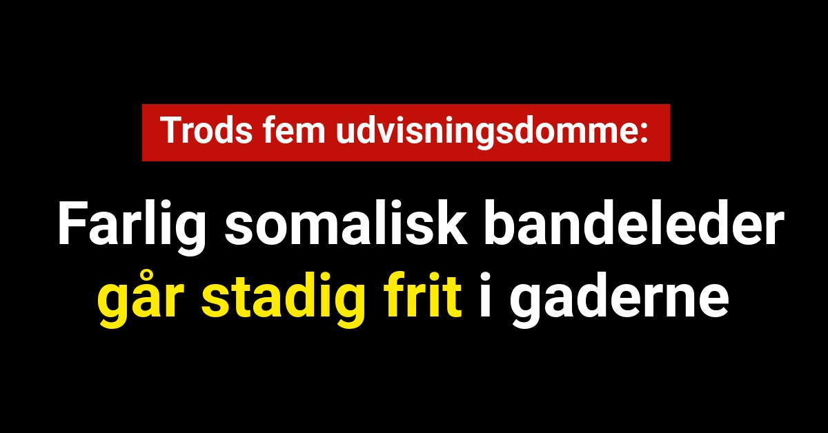 Trods fem udvisningsdomme: Farlig somalisk bandeleder går stadig frit i gaderne