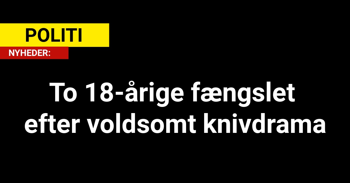 To 18-årige fængslet efter voldsomt knivdrama