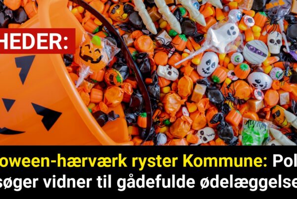 Halloween-hærværk ryster Kommune: Politiet søger vidner til gådefulde ødelæggelser