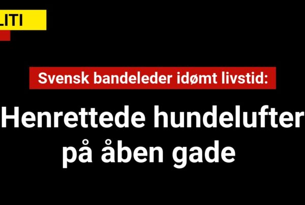 Svensk bandeleder idømt livstid: Henrettede hundelufter på åben gade