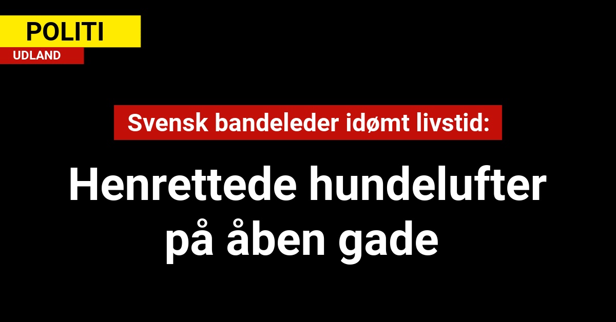 Svensk bandeleder idømt livstid: Henrettede hundelufter på åben gade