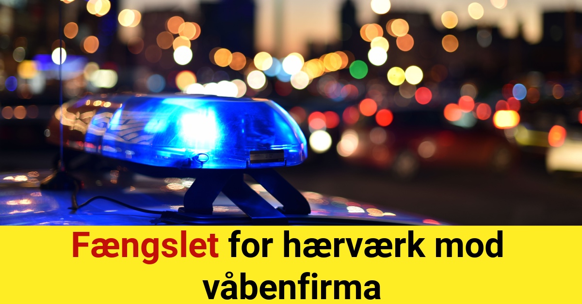 Fængslet for hærværk mod våbenfirma