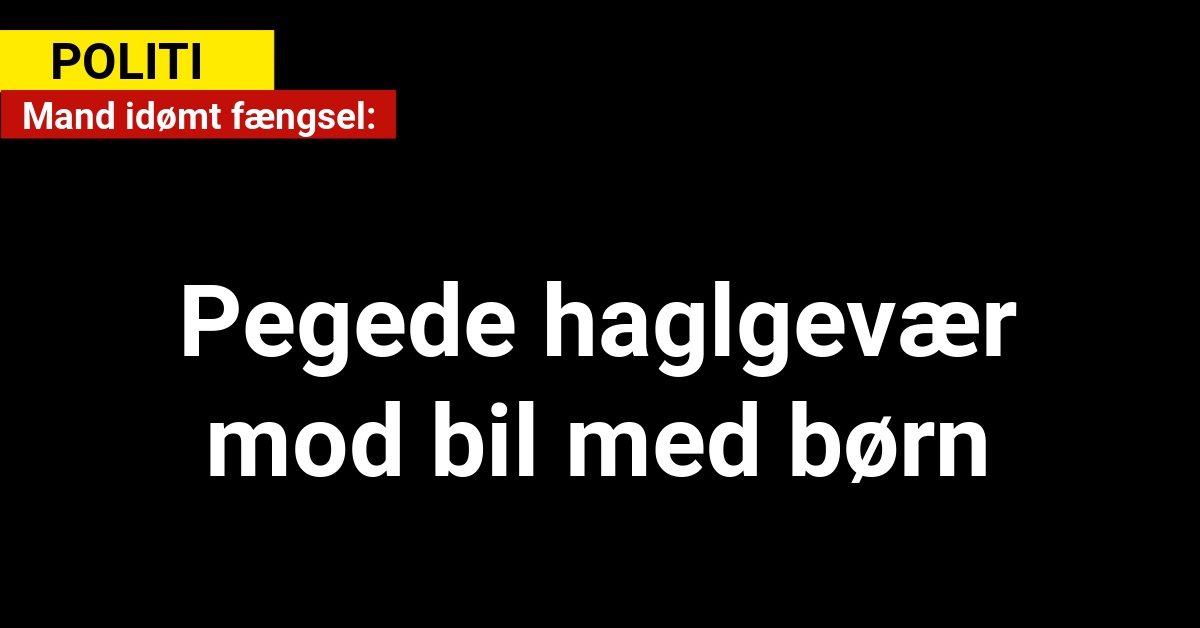 Mand idømt fængsel: Pegede haglgevær mod bil med børn