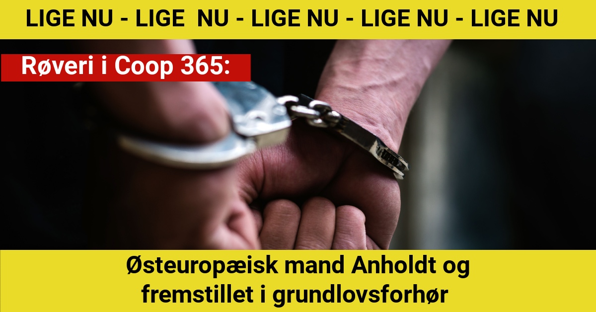 Røveri i Coop 365: Østeuropæisk mand Anholdt og fremstillet i grundlovsforhør