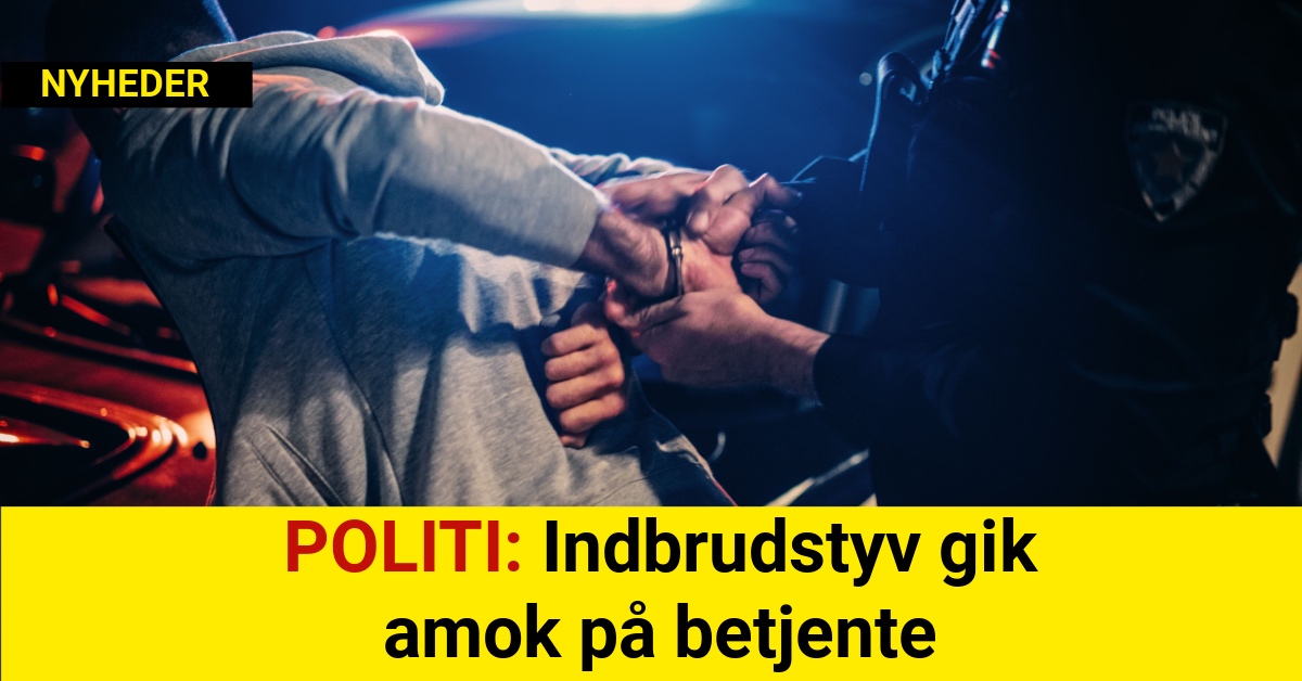 POLITI: Indbrudstyv gik amok på betjente