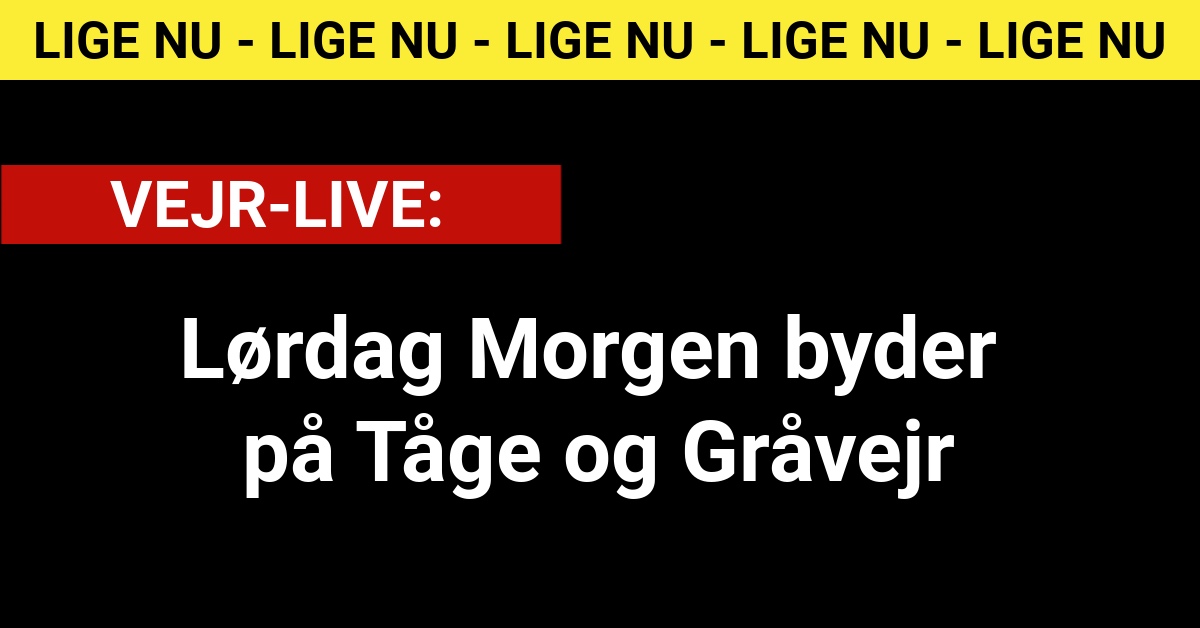 Lørdag Morgen byder på Tåge og Gråvejr