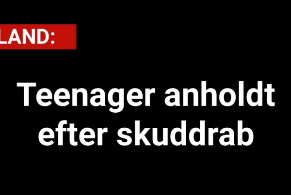 Teenager anholdt efter skuddrab