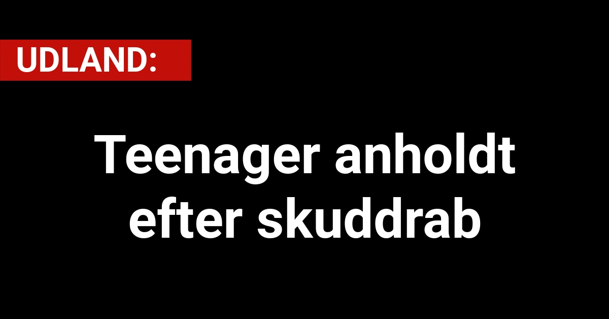 Teenager anholdt efter skuddrab