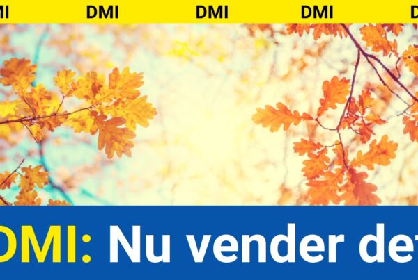 DMI: Nu vender det