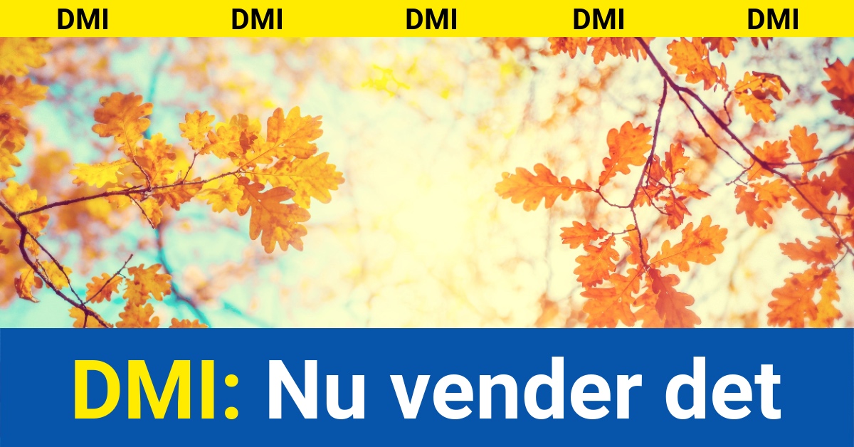 DMI: Nu vender det