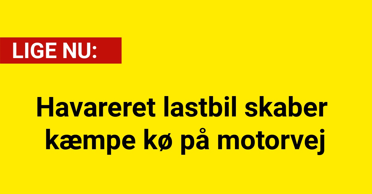 Havareret lastbil skaber kæmpe kø på motorvej