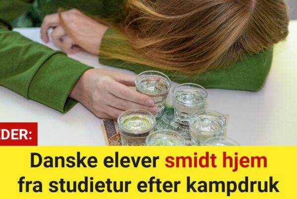 Danske elever smidt hjem fra studietur efter kampdruk