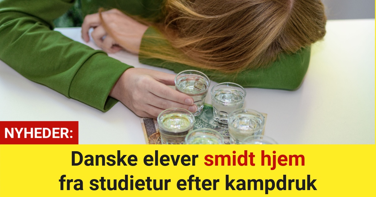 Danske elever smidt hjem fra studietur efter kampdruk