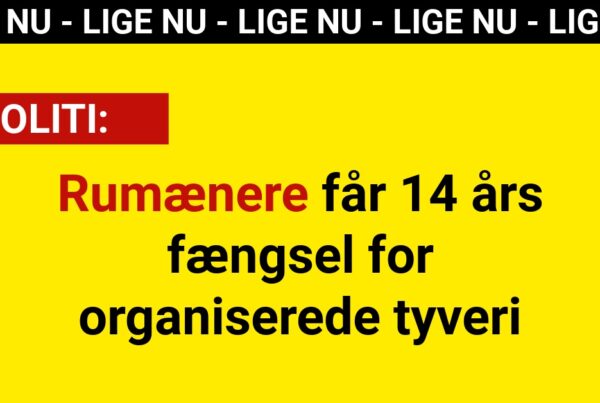 Rumænere får 14 års fængsel for organiserede tyveri