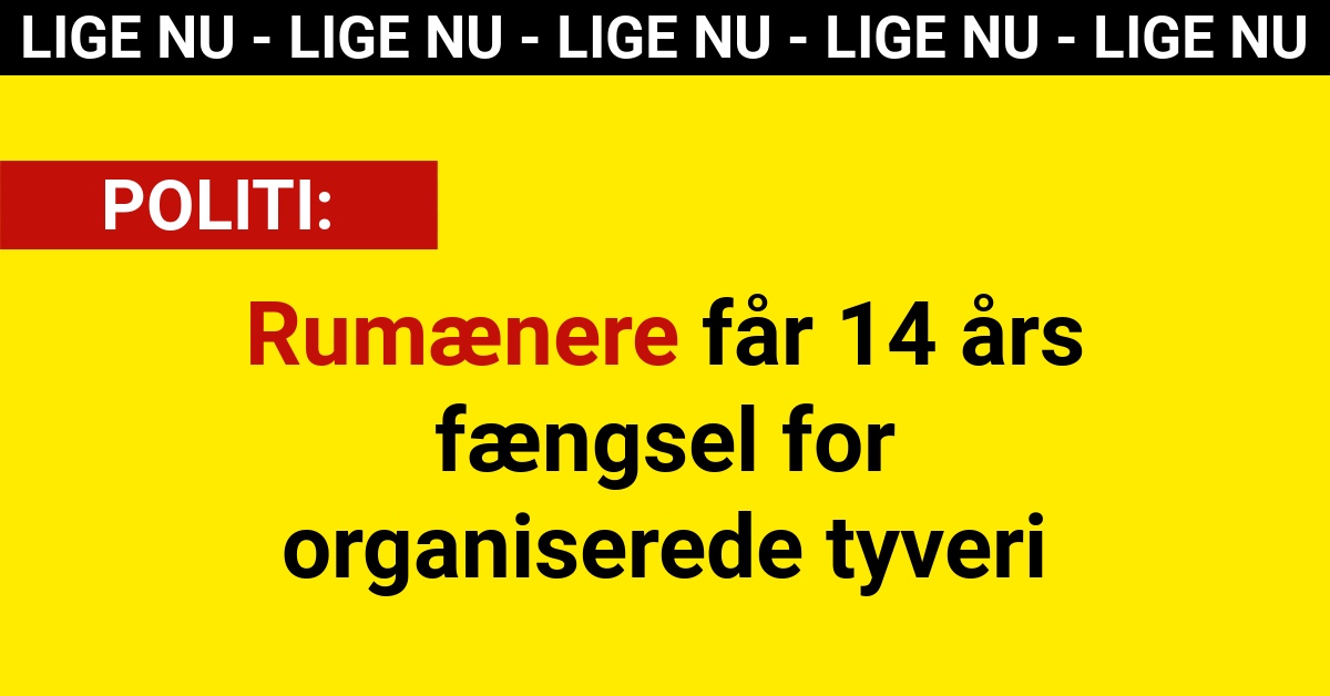 Rumænere får 14 års fængsel for organiserede tyveri