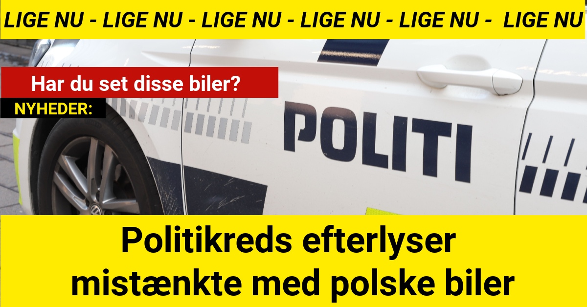 Politikreds efterlyser mistænkte med polske biler