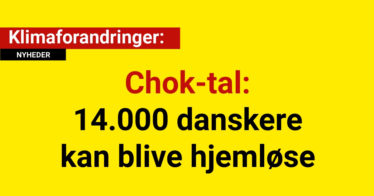 Chok-tal: 14.000 danskere kan blive hjemløse