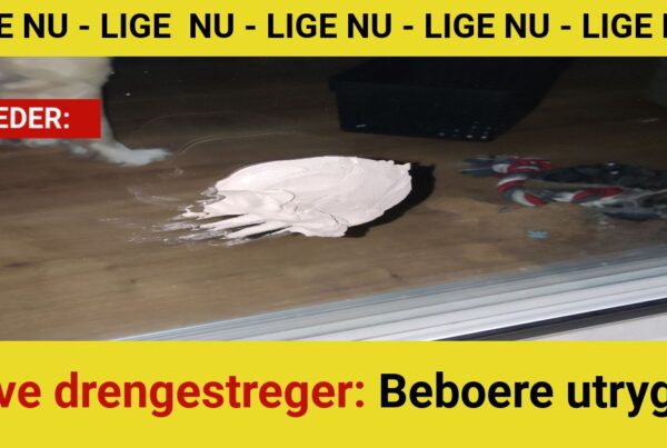 Grove drengestreger: Beboere utrygge