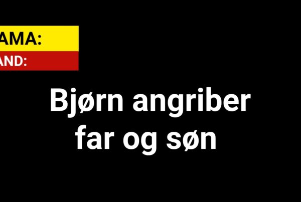 DRAMA: Bjørn angriber far og søn