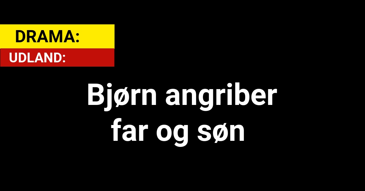 DRAMA: Bjørn angriber far og søn