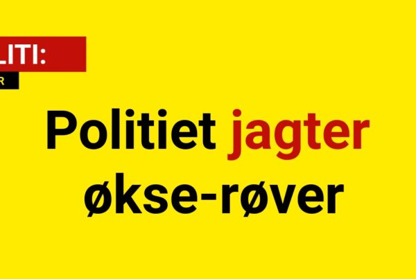 Politiet jagter økse-røver