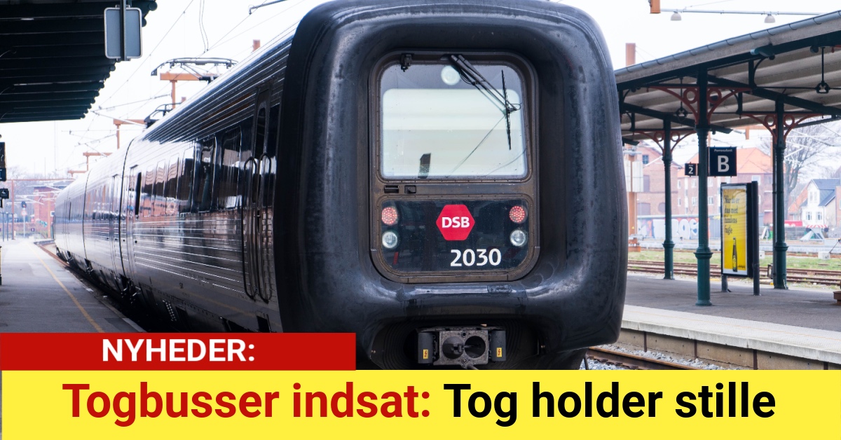 Togbusser indsat: Tog holder stille