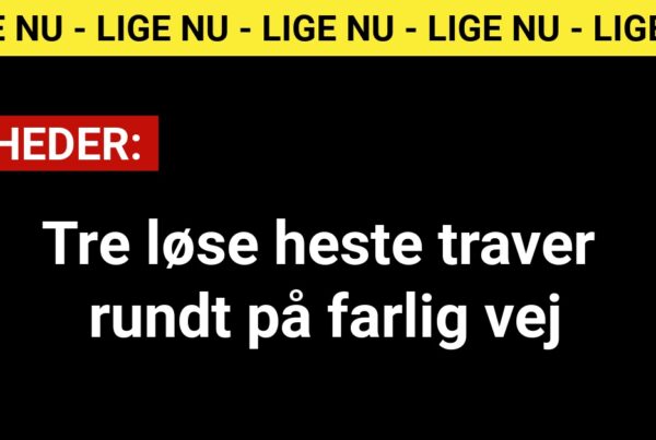 Tre løse heste traver rundt på farlig vej