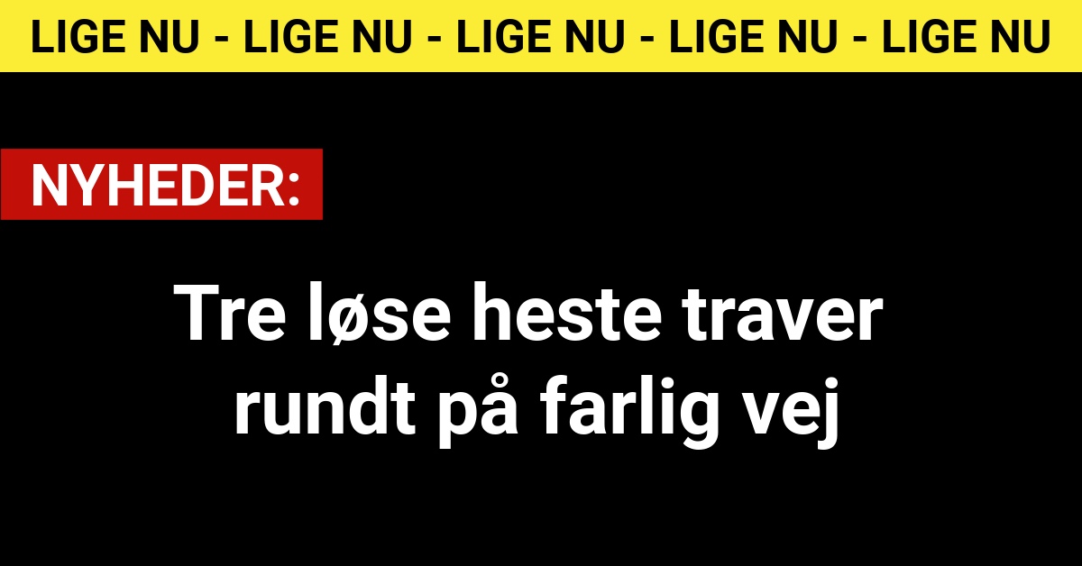 Tre løse heste traver rundt på farlig vej