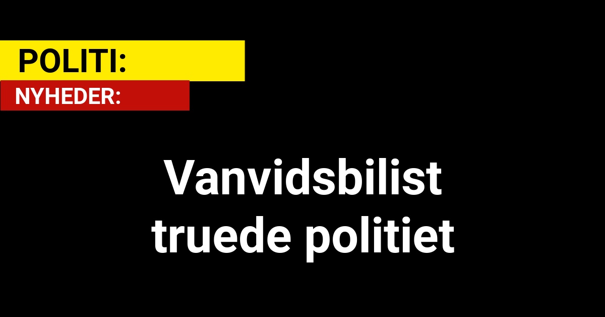 Vanvidsbilist truede politiet - Krimi