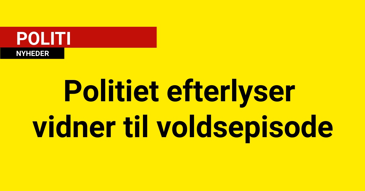 Politiet efterlyser vidner til voldsepisode