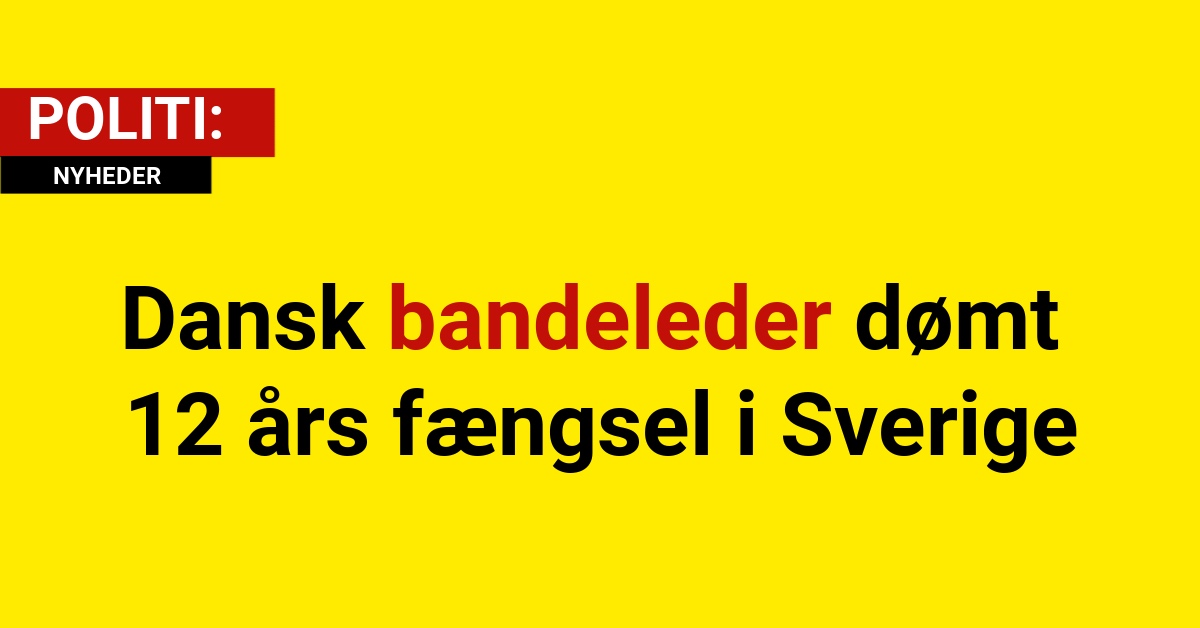 Dansk bandeleder dømt 12 års fængsel i Sverige