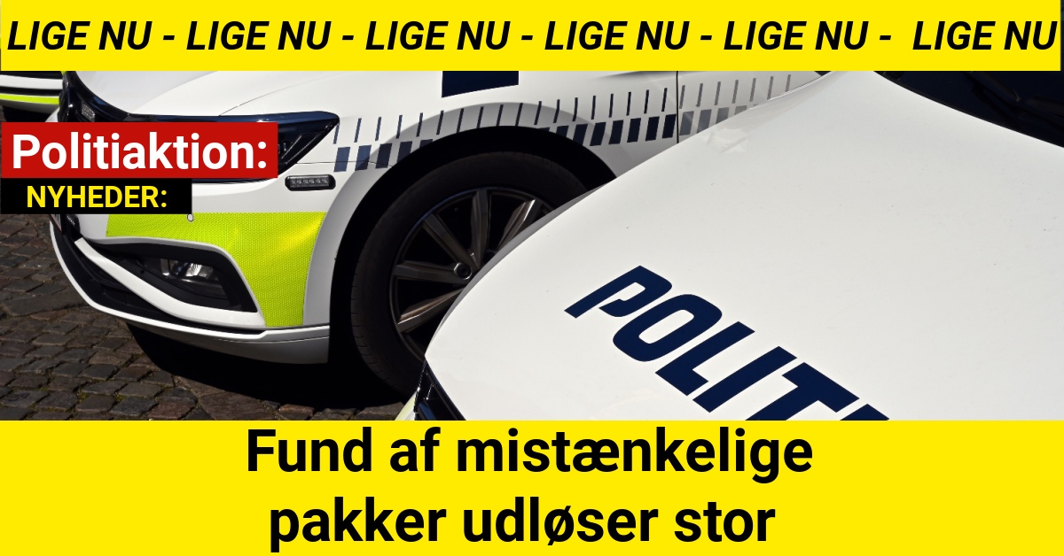 Politiaktion: