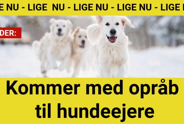 Kommer med opråb til hundeejere