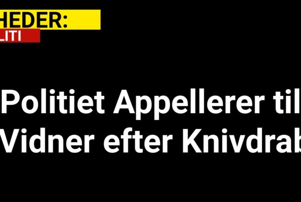 Politiet Appellerer til Vidner efter Knivdrab