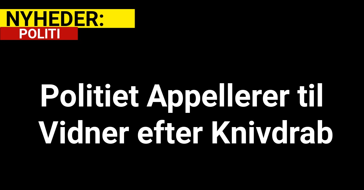 Politiet Appellerer til Vidner efter Knivdrab