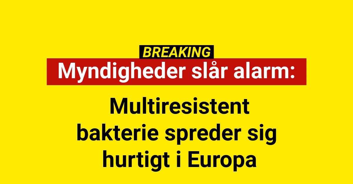 Myndigheder slår alarm: Multiresistent bakterie spreder sig hurtigt i Europa