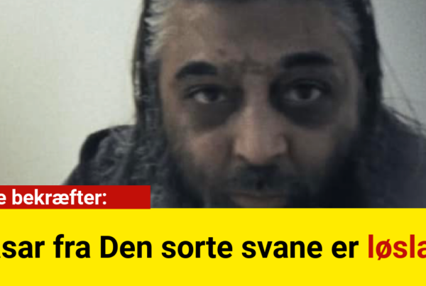 Fasar fra Den sorte svane er løsladt