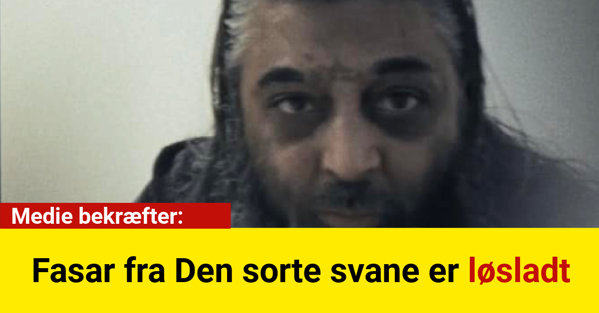 Fasar fra Den sorte svane er løsladt