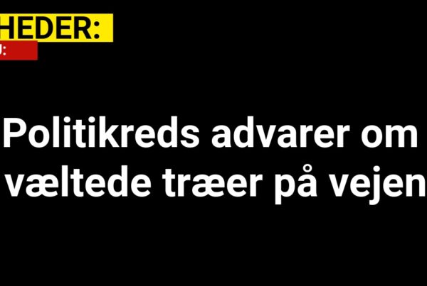 Politikreds advarer om væltede træer på vejen